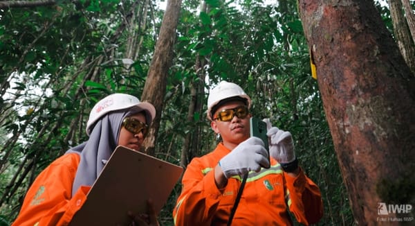Lestarikan Lingkungan, Weda Bay Nickel Lakukan Rehabilitasi DAS 4,2 Ribu Hektare di Maluku Utara