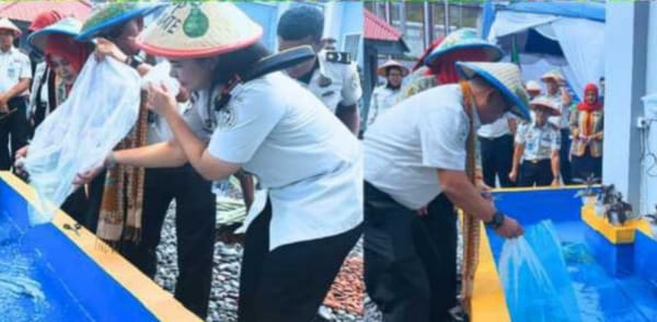 Lapas Perempuan Ternate Tabur 500 Benih Ikan Nila dan Panen Pokcoy Perkuat Ketahanan Pangan