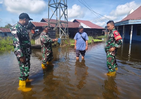 Danramil 1002-08/LAU Turun Langsung Tinjau Lokasi Banjir di Kecamatan LAU