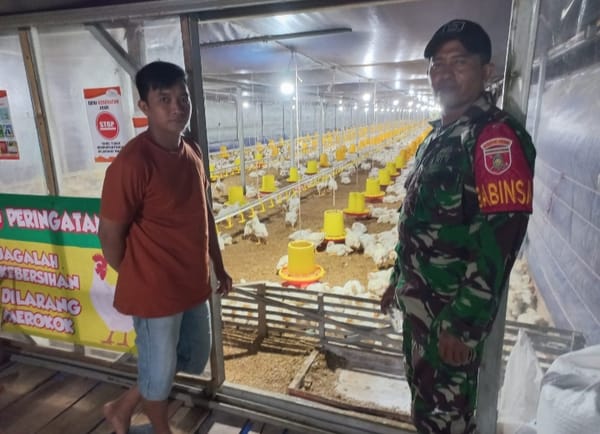 Lakukan Komsos , Babinsa Sambangi Peternak Ayam Potong di Muara Rintis