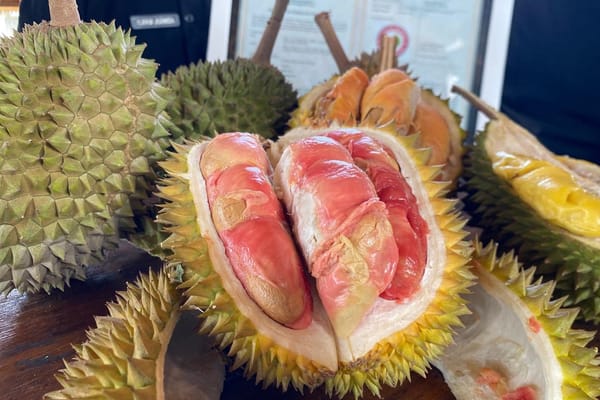Durian Merah Banyuwangi Ditetapkan Sebagai Indikasi Geografis Pertama di Indonesia