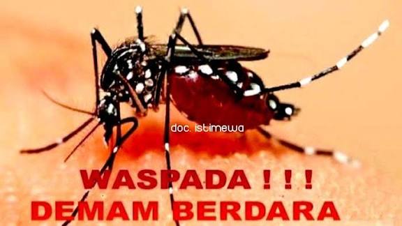 Masyarakat Agar Waspada Penyakit Demam Berdarah Dengue di Musim Hujan