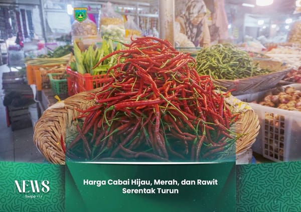 Harga Cabai Hijau, Merah, dan Rawit di Padang Panjang Serentak Turun