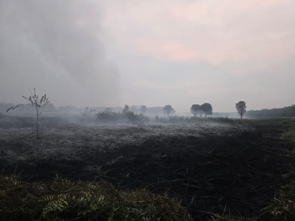 Polisi Selidiki Karhutla 5 Hektare di Sungai Ambawang, Lokasi Dipolice Line