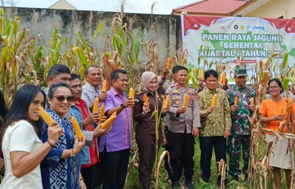 Polres Toraja Utara Gelar Panen Raya Jagung Serentak Kuartal I Tahun 2026
