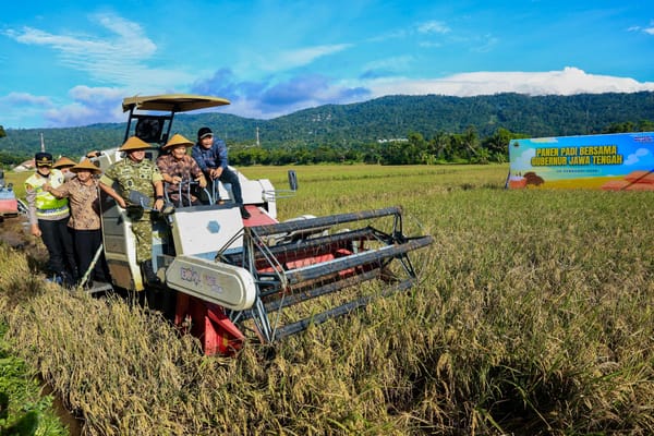 Panen Raya Serentak 35 Daerah di Jateng, Target 3,35 Juta Ton GKG dalam Tiga Bulan