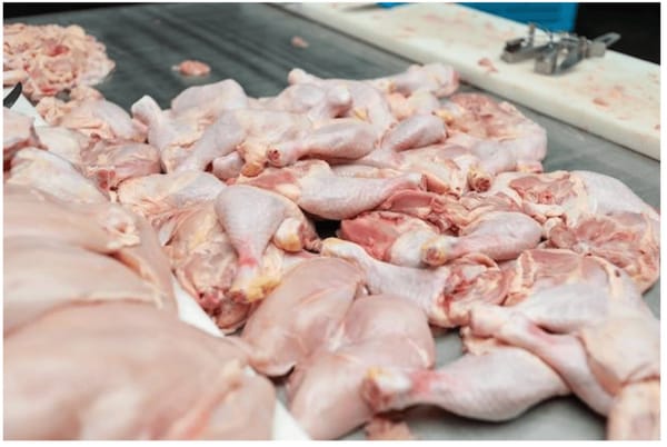 Harga Ayam Potong di Jember dan Lumajang Mengalami Kenaikan