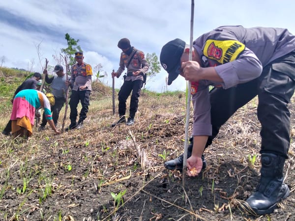 Sinergi Polri dan Petani Desa Fogi, Polsek Kepala Madan Garap Lahan Jagung 2 Hektare