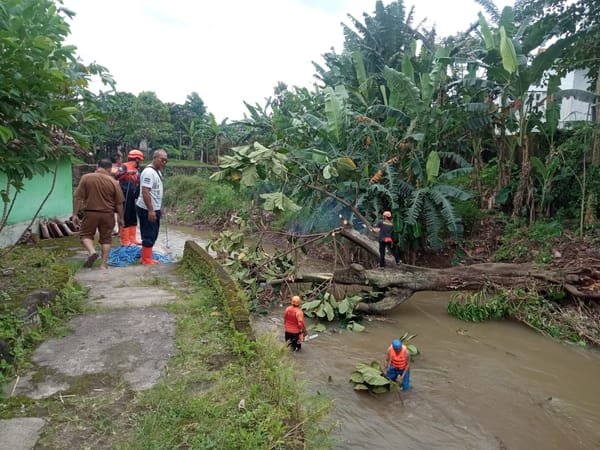 Penebangan Pohon Dan Penanganan Bencana Akibat Hujan Dan Angin Kencang di Jember