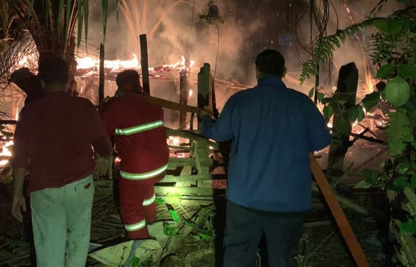 Akibat Api Unggun Puluhan Ternak Kambing dan Ayam di Kuansing Ludes Terbakar