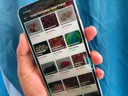 Pemkot Depok Menyiapkan Aplikasi DSW  Selama Bulan Ramadhan.