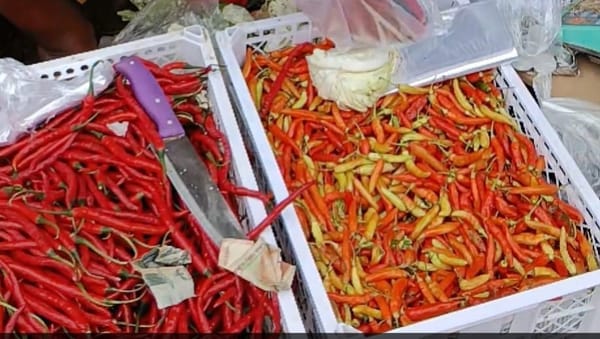 Jelang Lebaran : Harga Cabai di Solo Kian Pedas, Sayuran Stabil