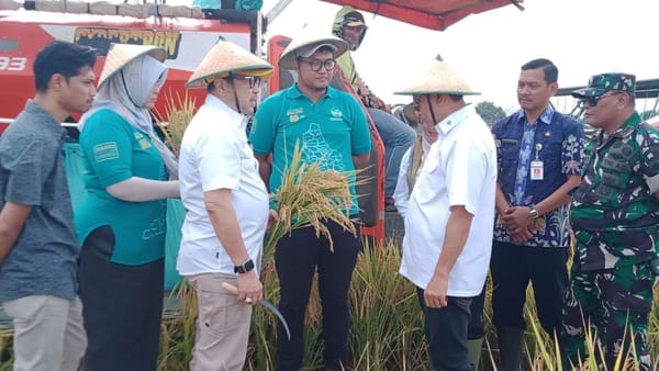 Legislator Senayan Apresiasi Pemda dan Petani Pati Capai Target Produksi 10 Ton Padi Per  Hektar