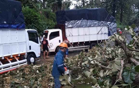Dilanda Angin Kencang, Pantura Batang Macet