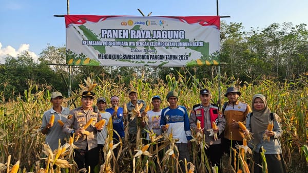 Polres Tabalong Gelar Panen Raya Jagung Hibrida Kuartal I 2026, Dukung Ketahanan Pangan Nasional