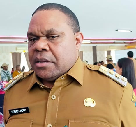 Pembangunan RSUD hingga Puskesmas Baru di Manokwari Dapat Respons Positif Menkes