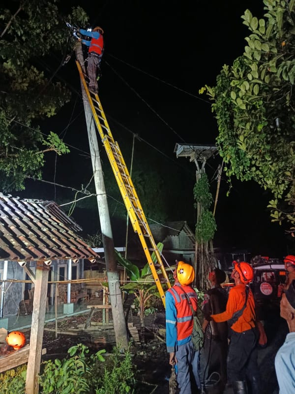 Pohon Tumbang Timpa Rumah Warga, BPBD Jember Tangani Cepat