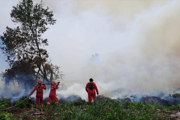 Pejuang Karhutla Muharmizan Wafat Dalam Tugas, Plt Gubri: Beliau Pahlawan Lingkungan
