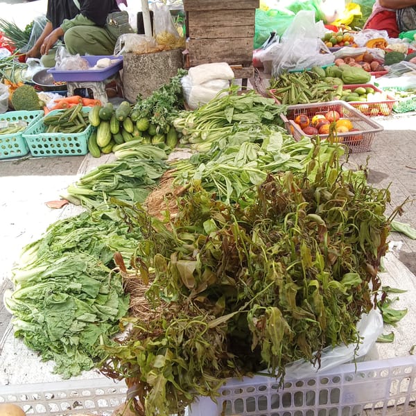 Dari Perang Dunia ke Lapak Sayur: Cerita Bibik Sritinah di Pontianak