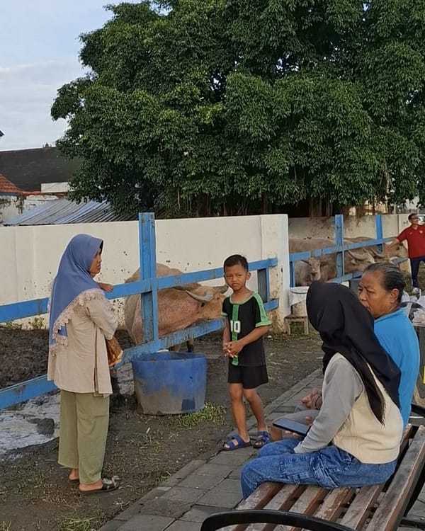 Kenangan Lebaran bersama Kebo Bule Keraton Surakarta