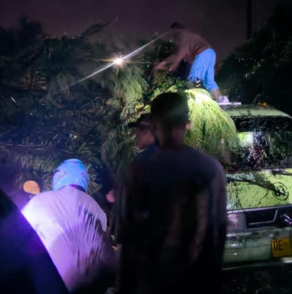 Tiga Warga Jadi Korban Pohon Tumbang, Walikota Ambon Gerak Cepat