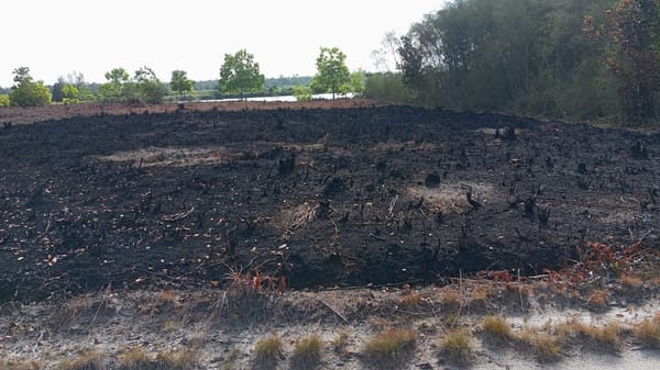 Karhutla Mulai Muncul, BPBPK Kalteng Ingatkan Warga Waspada Sejak Dini