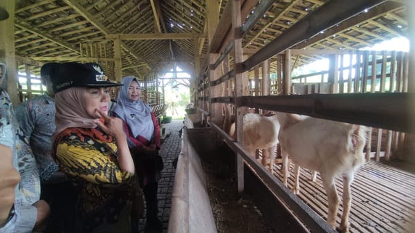 Bupati Kendal Pastikan Stok Kambing Kurban Aman Jelang Idul Adha