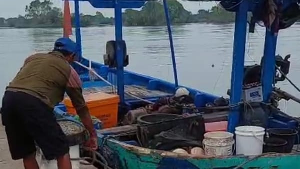 Perubahan Musim Membawa Hasil Melimpah Nelayan Pekalongan