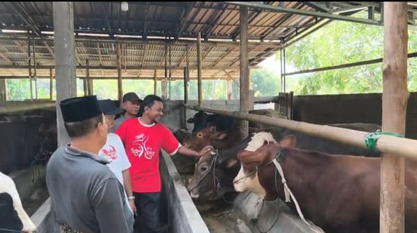 Menjelang Idul Adha, Penjualan Sapi Kurban Mulai Ramai