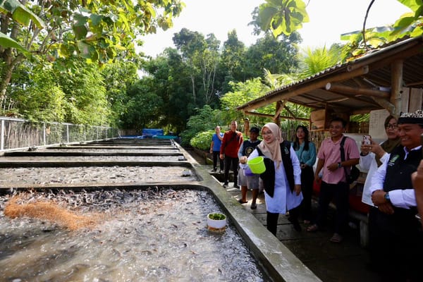 Pemuda Desa Banyuwangi Raup Omset Ratusan Juta dari Budidaya Lele