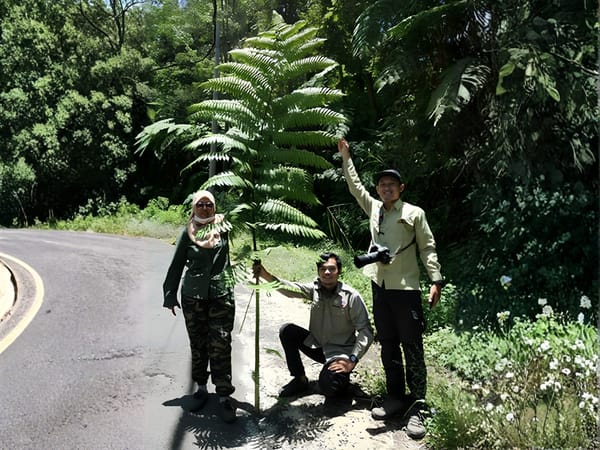 Dosen FMIPA Universitas Jember Teliti Tanaman Zaman Prasejarah