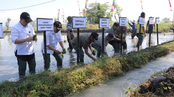 Tahun Ini Pemkab Ngawi Targetkan 169 Ribu Hektar Panen Padi