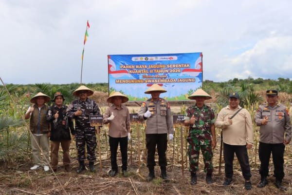 Panen raya jagung Kuartal II hasilkan total 292,85 ton dengan luas lahan 75 hektar