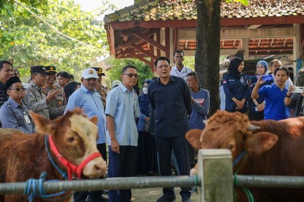 Jelang Idul Adha, Wabup Sleman Pastikan Ketersediaan dan Kesehatan Hewan Kurban Aman