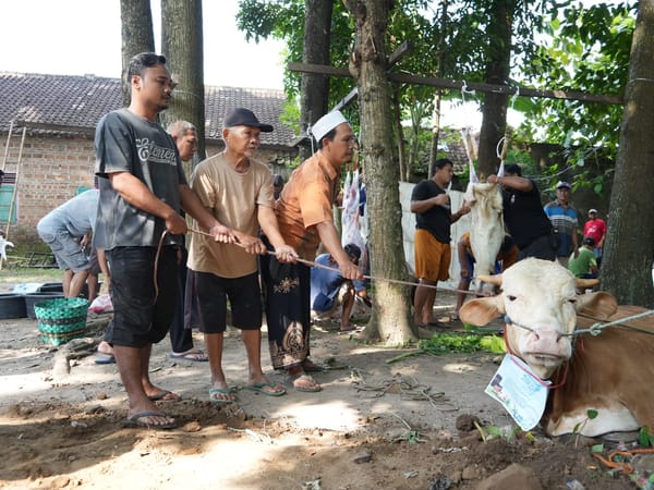 PLN UP3 Klaten Berbagi Hewan Kurban, Warga Jonggrangan Rasakan Manfaat Idul Adha