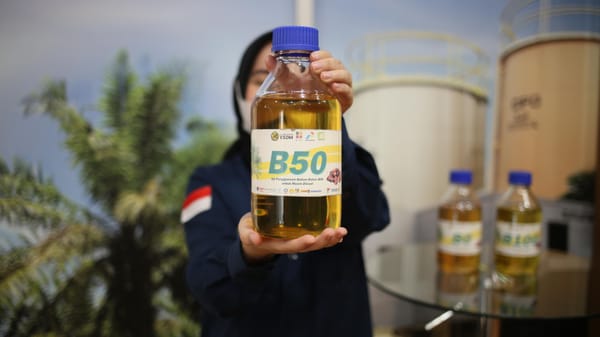 Siap Menghemat Devisa Rp 139,8 Triliun, Apa Kabar Pasokan Sawit untuk B50