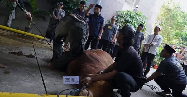 Momentum Idul Adha 2026, KPK Ajak Publik Perkuat Integritas Sosial melalui Gaya Hidup Sederhana