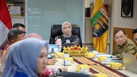 Wagub Jihan Pimpin Virtual Rakor TP2TB Pesawaran