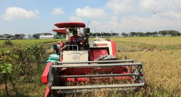 Petani Rembang Tenang Hadapi Ancaman El-Nino “Godzilla” Berkat Bantuan Alsintan