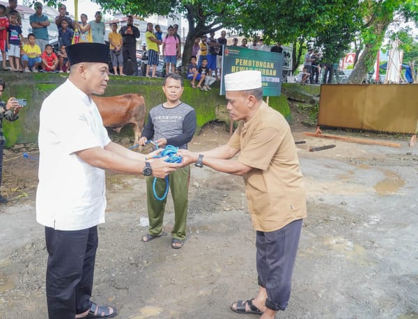 Idul Adha, Pangdam XV/Pattimura Salurkan 78 Hewan Kurban