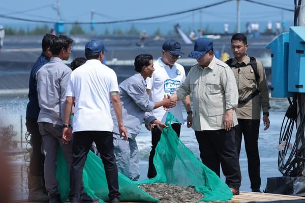 Presiden Prabowo Panen Raya Udang di Kebumen, Jadi Kekuatan Baru Pertumbuhan Ekonomi Indonesia
