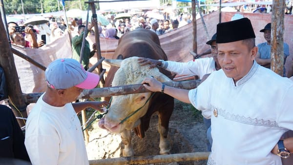 Wali Kota Zulmaeta Apresiasi Bantuan Sapi Kurban Berbobot 1,2 Ton dari Presiden untuk Warga Payakumbuh