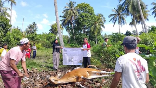 Pemprov Sumbar Pastikan Tebar Kurban di Mentawai Tepat Sasaran