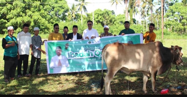 Tebarkan Kepedulian Sosial, Kemenag Pulau Morotai Gelar Penyembelihan Hewan Kurban