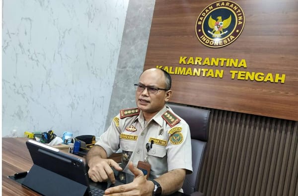 Peternak Tenang, Barantin Pastikan Sapi Kurban di Kalteng Sehat dan Aman