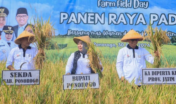 Tradisi "Metik" Awali Panen Padi di Ponorogo
