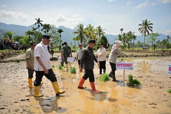 Pemerintah Percepat Pemulihan Lahan Terdampak Bencana dan Antisipasi Kekeringan Melalui Gerakan Tanam Serempak 50 Ribu Hektare