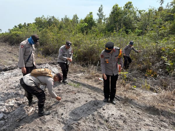 Polsek Tumbang Titi Tanam Jagung Hibrida Demi Ketahanan Pangan