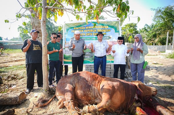 Sapi Kurban Bantuan Presiden untuk Kabupaten Kuansing Disembelih di Ponpes Iman Saleh Inuman