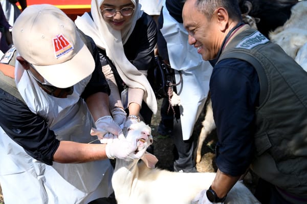Pastikan Layak saat Idul Adha, Pemkab Banyuwangi Periksa Kesehatan Hewan Kurban